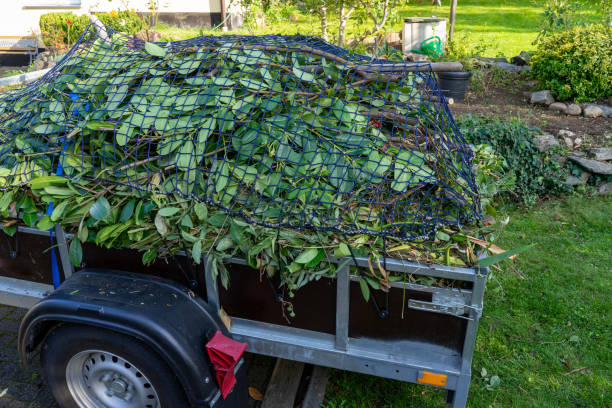 Best Shed Removal  in Lincoln, ID
